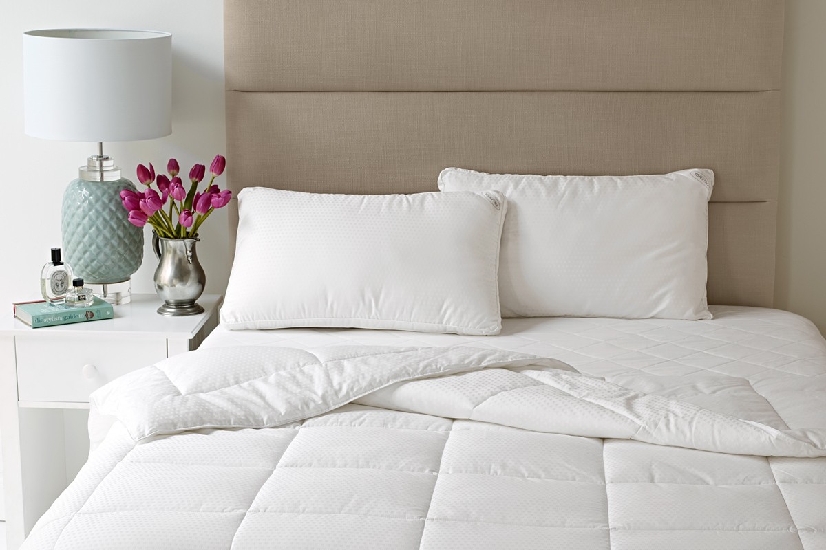 Home » Hanes Australasia Home » Hanes Australasia